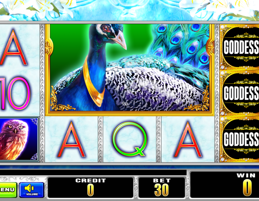 Aruze Gaming