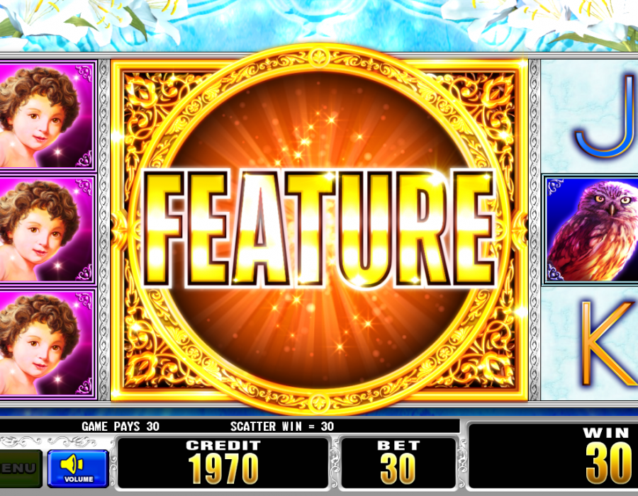 Aruze Gaming